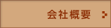 ЊTv